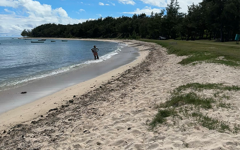 plage gravier 1.jpeg.edit